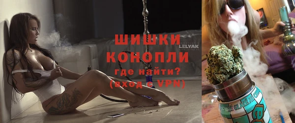 гашиш Богданович