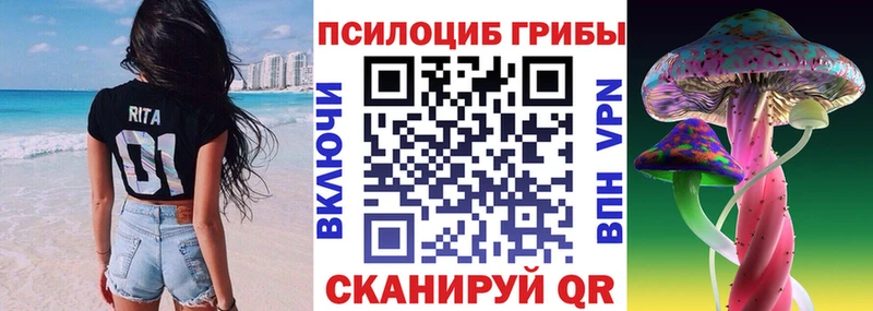 Псилоцибиновые грибы GOLDEN TEACHER  хочу наркоту  Верхняя Пышма 