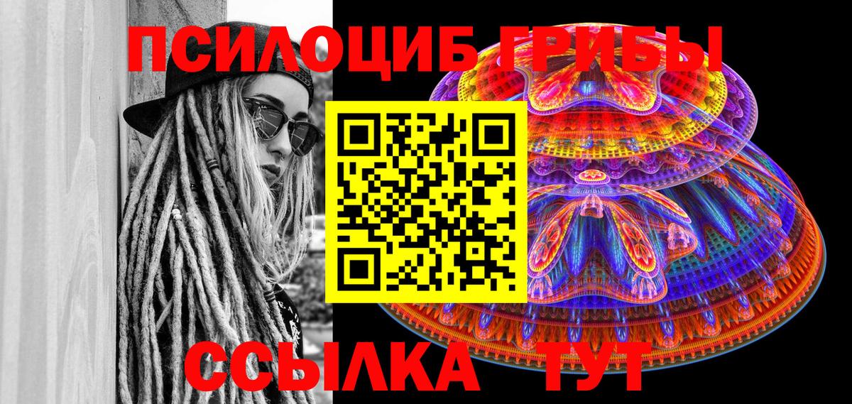 Верхняя Пышма  Псилоцибиновые грибы Psilocybine cubensis  Вход с VPN  Псилоцибиновые грибы Cubensis 