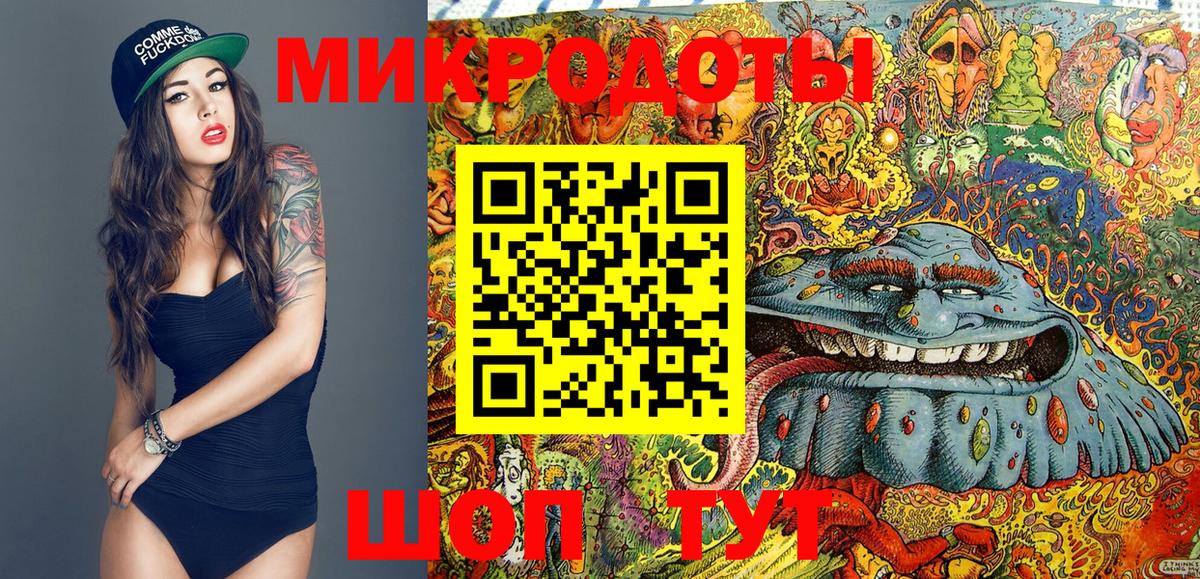 Псилоцибиновые грибы Cubensis  Верхняя Пышма  Псилоцибиновые грибы MAGIC MUSHROOMS 