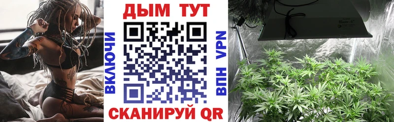 блэк спрут tor Верхняя Пышма МАРИХУАНА семена